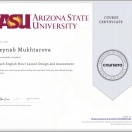 Lesson Design and Assessment