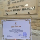 Peşəkar ol