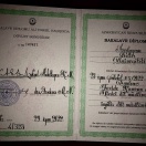 Bachelor’s degree certificate