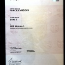 Cambridge assessment & press - TKT MODULE 3
