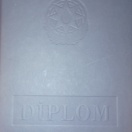 Bakalavr diplom