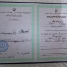 Bakalavr diplomu