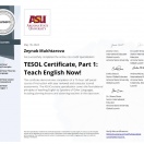 TESOL Part I ASU(Arizona State University)
