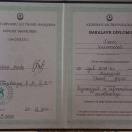 Bakalavr