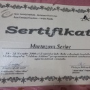 Amerika Addım Addım Soros məktəbəqədər