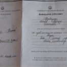 Bakalavr Ali Peşə - Ixtisas diplomu