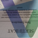 Şagirdlərdə oxuyub anlama bacarıqlarının inkişaf etdirilməsinə dair sertifikat