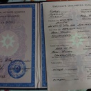 Bakalavr