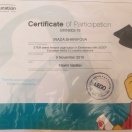 Sertifikat Lego