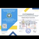 Инклюзивное образование в общеобразовательных и дошкольных организациях образования