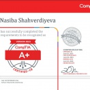 CompTIA A+
