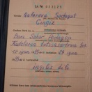 Ixtisasartirma  sertifikasiya