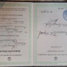Bakalavr