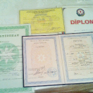 Diplom