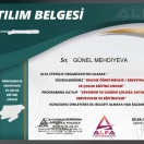 Xarici dil müəllimliyi (ingilis dili müəllimi)