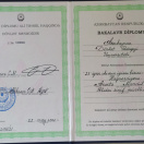 Ali, bakalavr