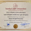 Tezli Magistr Diplomu