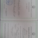 Bakalavr diplomu