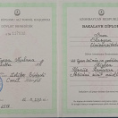 Bakalavr diplomu