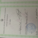 Bakalavr diplomu