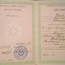 Bakalavr