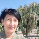 Allaniyazova Gulnara